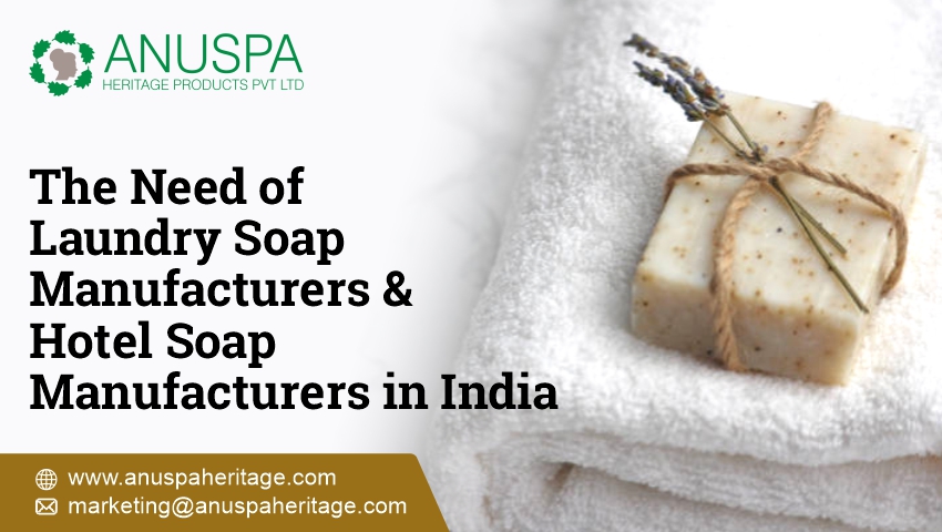 Laundry Soap Manufacturer