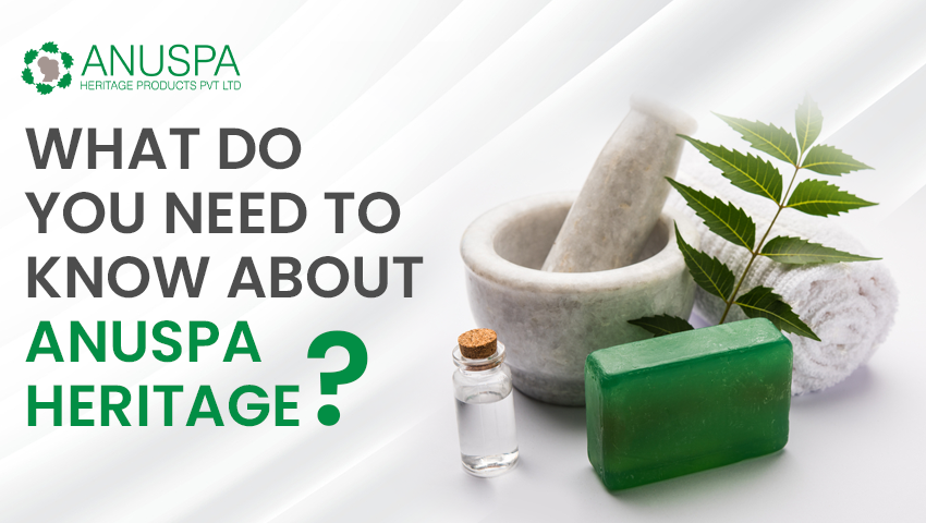 Handmade Saop Manufacturing