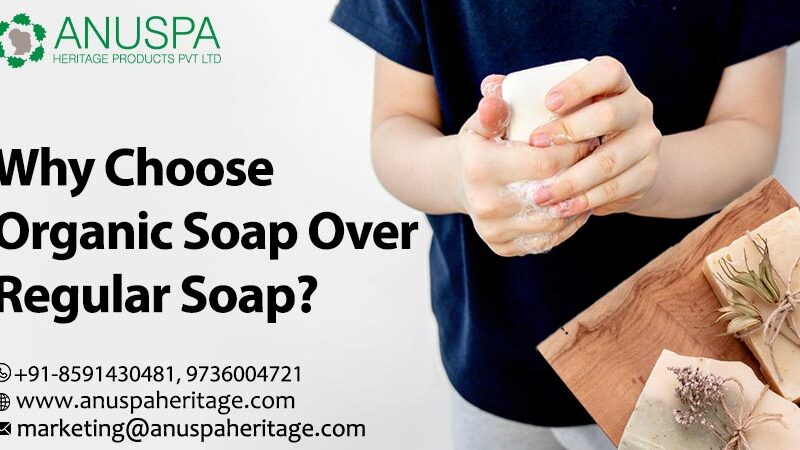 Best Organic Soap Export From India